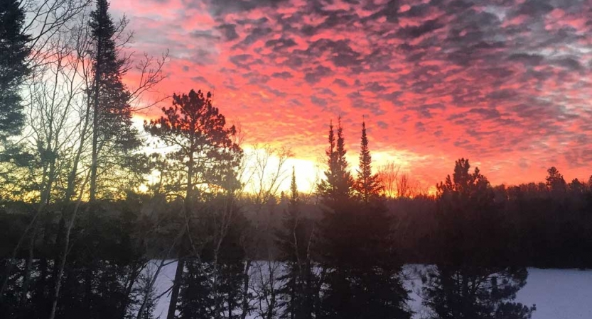 The sky appears in shades of yellow and orange as the sun either rises or sets behind a line of trees on the bank of a frozen lake.